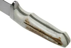 Böker Integral II Stag 123541 Hirschhorn, Jagdmesser -Nitecor Outdoor Geschaft BO123541 04 boker