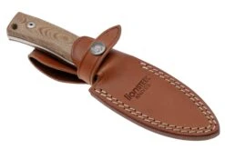 LionSteel M4-CVN M390, Natural Canvas Micarta -Nitecor Outdoor Geschaft LI M4 CVN 05 lionsteel