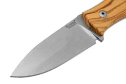 Lionsteel M4 Olive MagnaCut M4-MC-UL, Knivesandtools Exclusive, Feststehendes Messer -Nitecor Outdoor Geschaft LI M4 MC UL 03 lionsteel